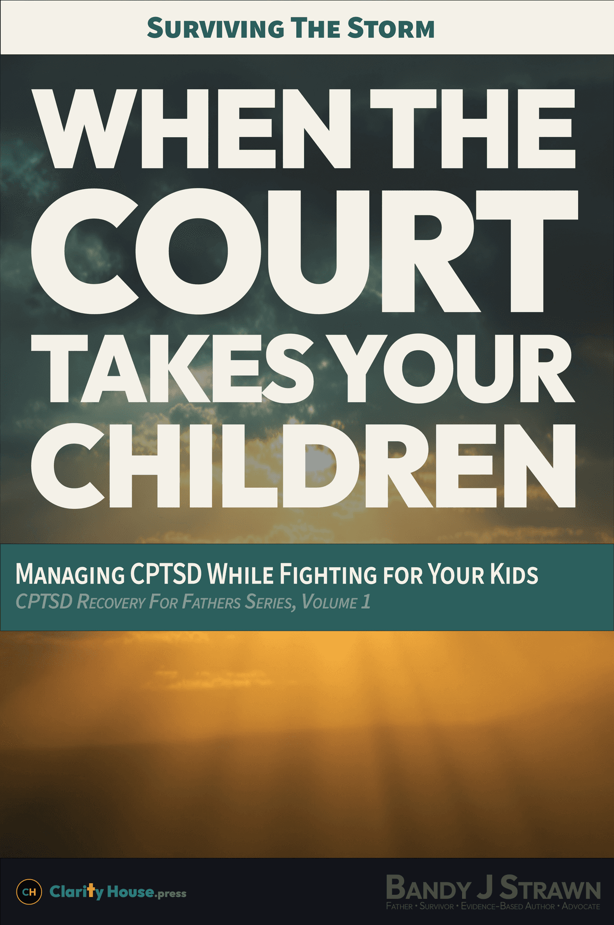 Surviving the Storm: When the Court Takes Your Children cover